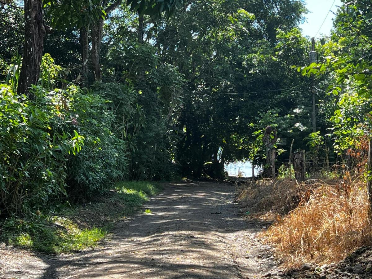 Las Plumas De Cabuya Cabuya  エクステリア 写真
