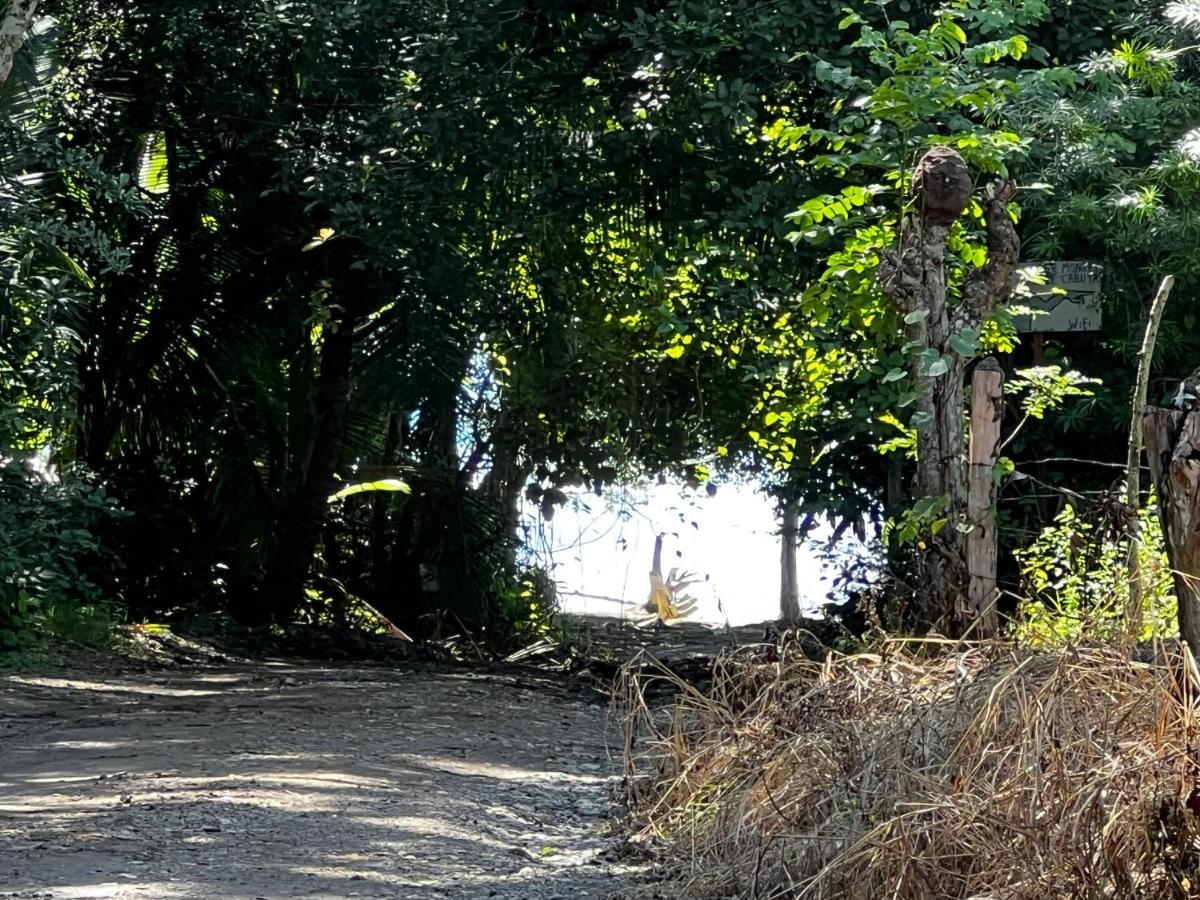 Las Plumas De Cabuya Cabuya  エクステリア 写真